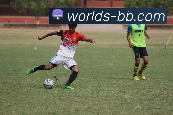 BB视讯官网平台生态图